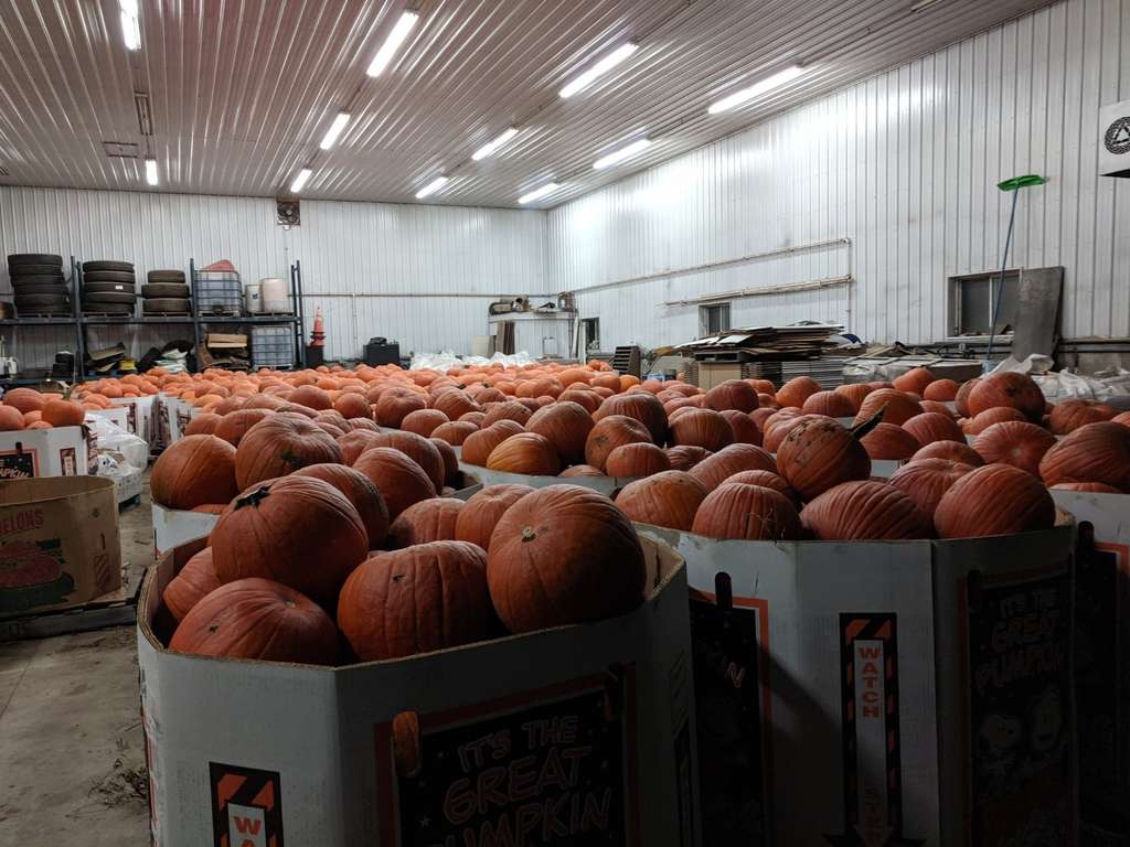 Logue Farms, Inc.