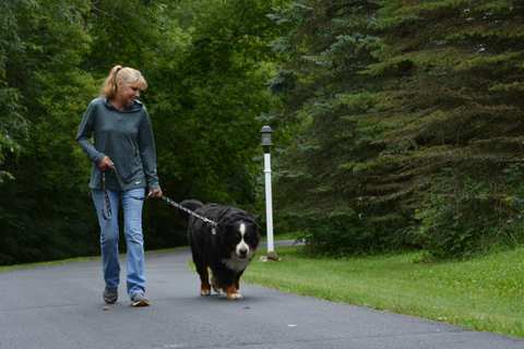 My Critter Companion, LLC — photo 2