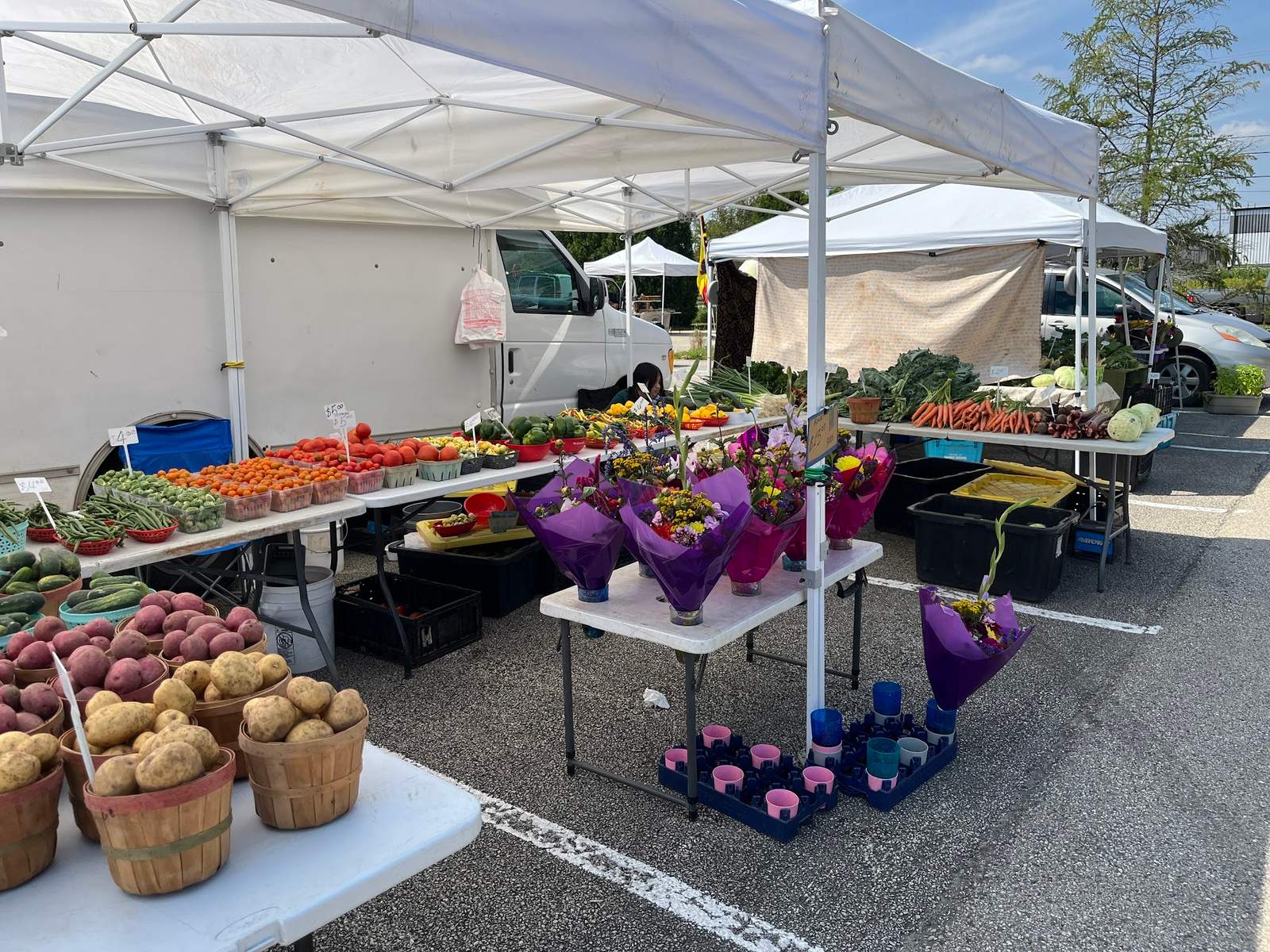 Brown Deer Farmers Market — photo 4