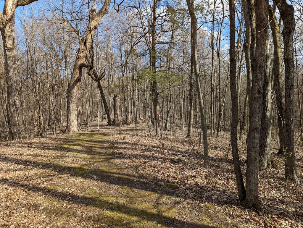 Fox Hill Nature Preserve - Nordic Trails