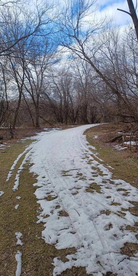 Fox Hill Nature Preserve - Nordic Trails — photo 3