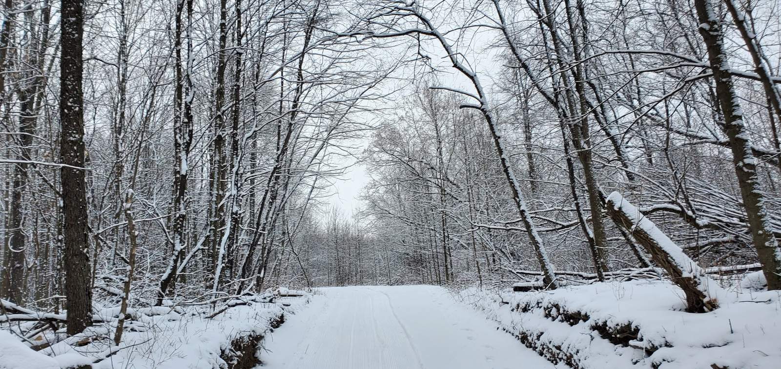 Fox Hill Nature Preserve - Nordic Trails — photo 4
