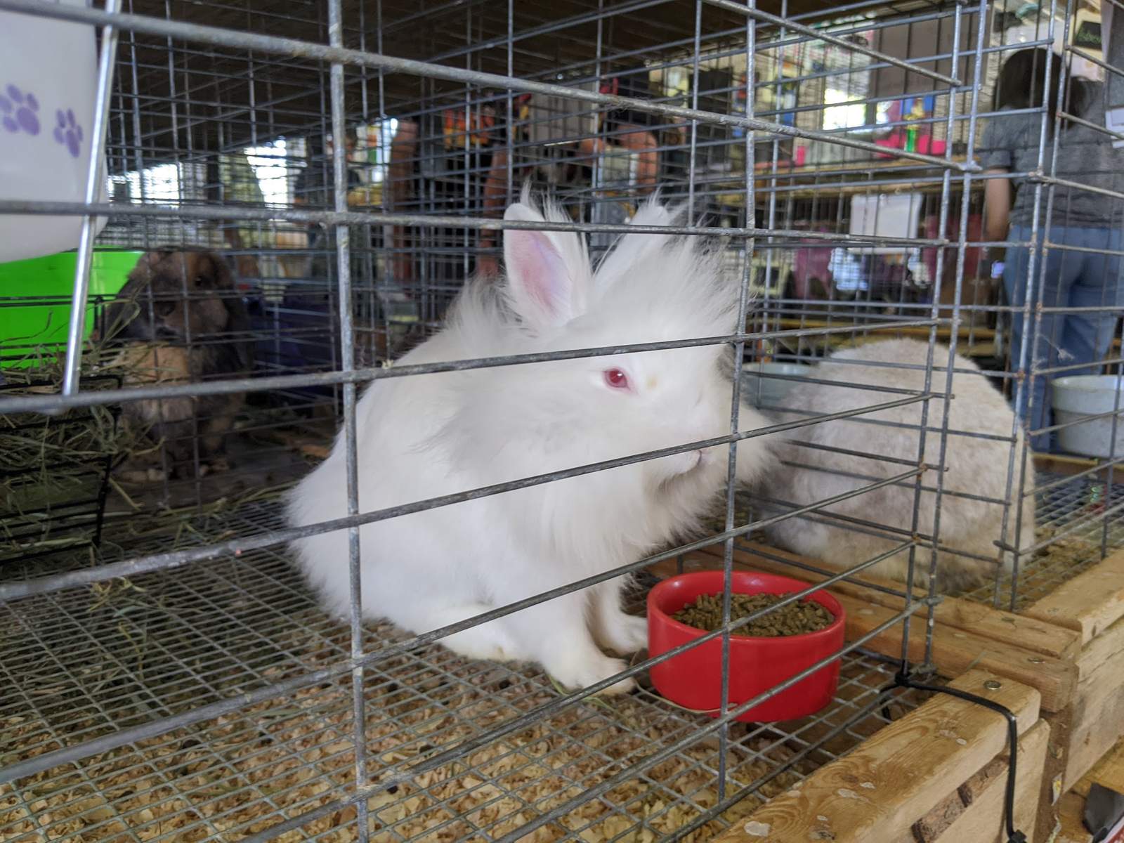 Washington County Fair Park & Conference Center — photo 3
