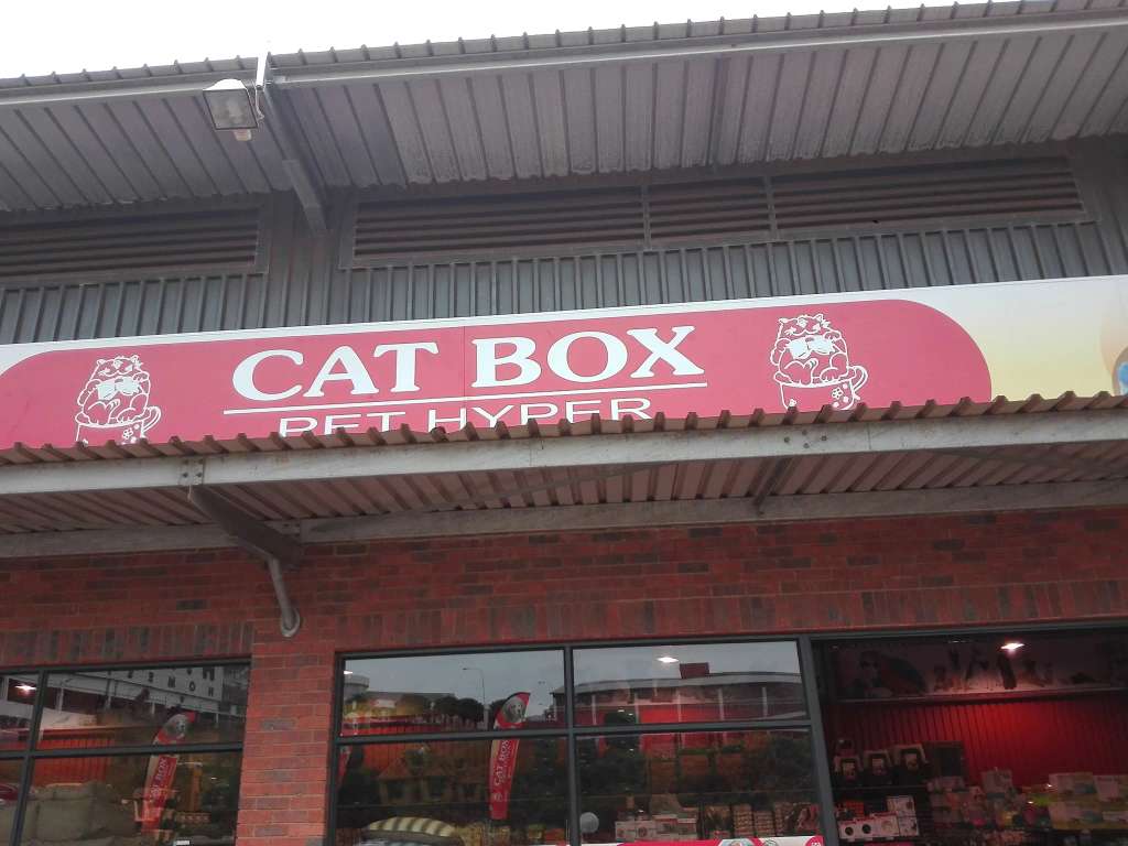 Cat Box Pet Hyper - Ballito