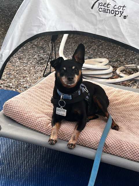 Pleasant Valley Vet Hospital SC — photo 2