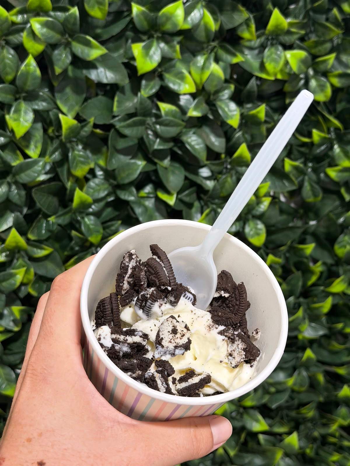 Bowl & Brew — photo 4