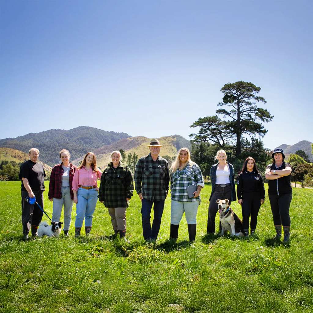 Gibson Sheat Lawyers - Masterton