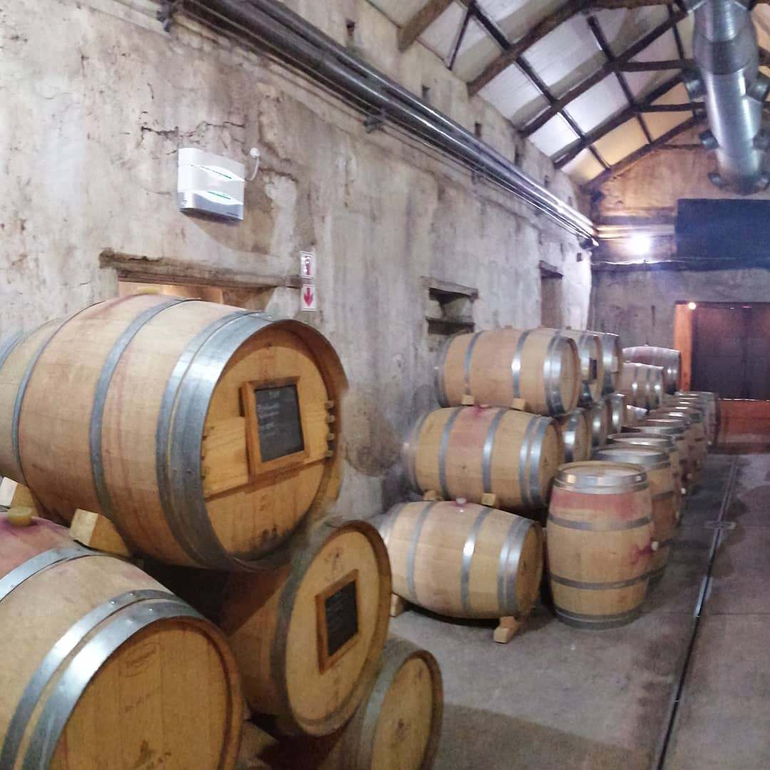 Winelands Sight Seeing Travel and Tours — photo 1