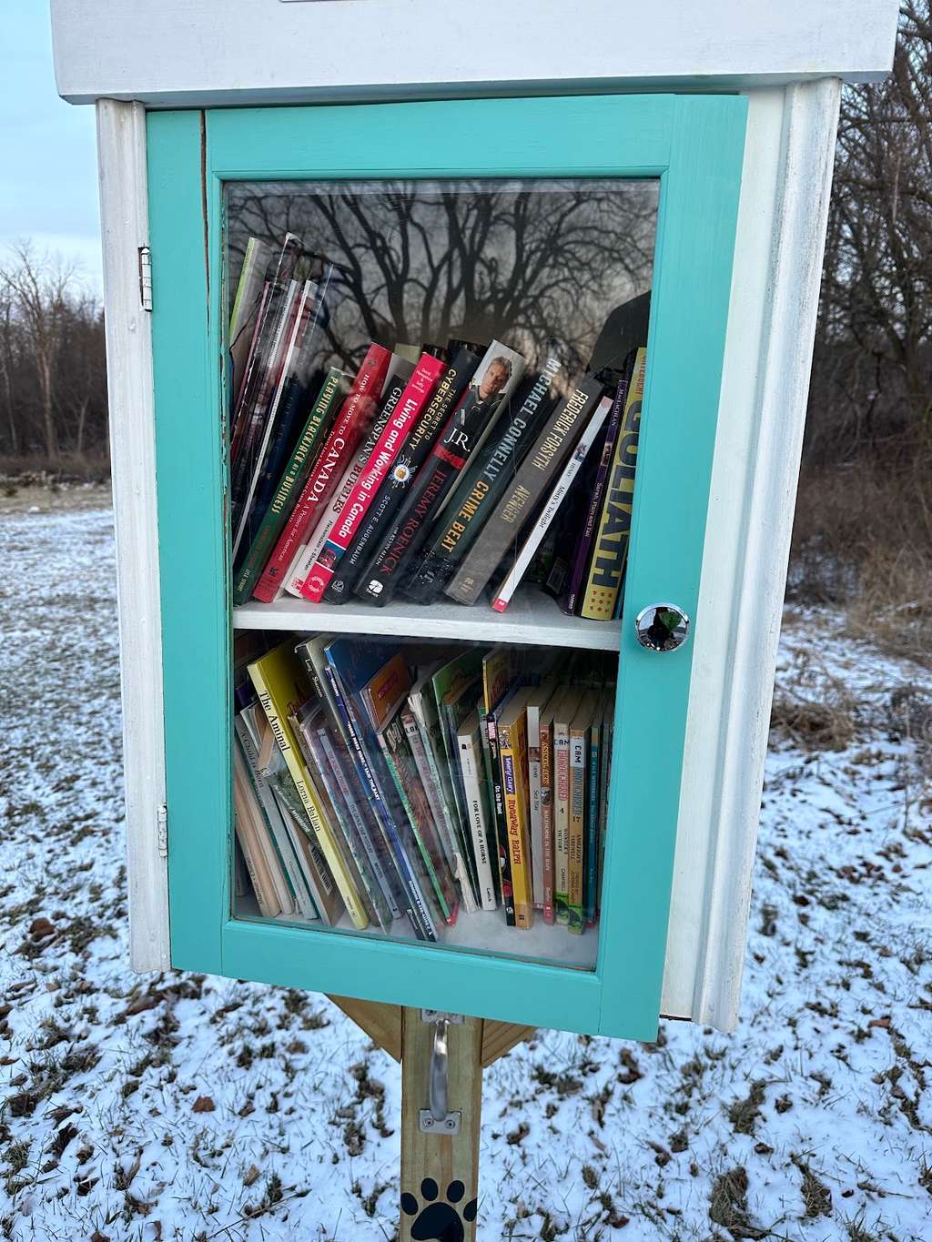 Little Free Library
