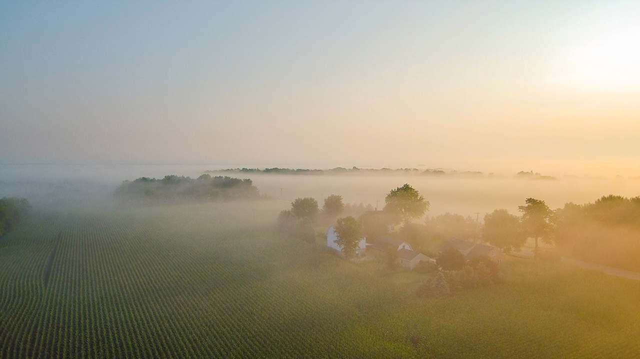 Happy Day Farmhaus — photo 4