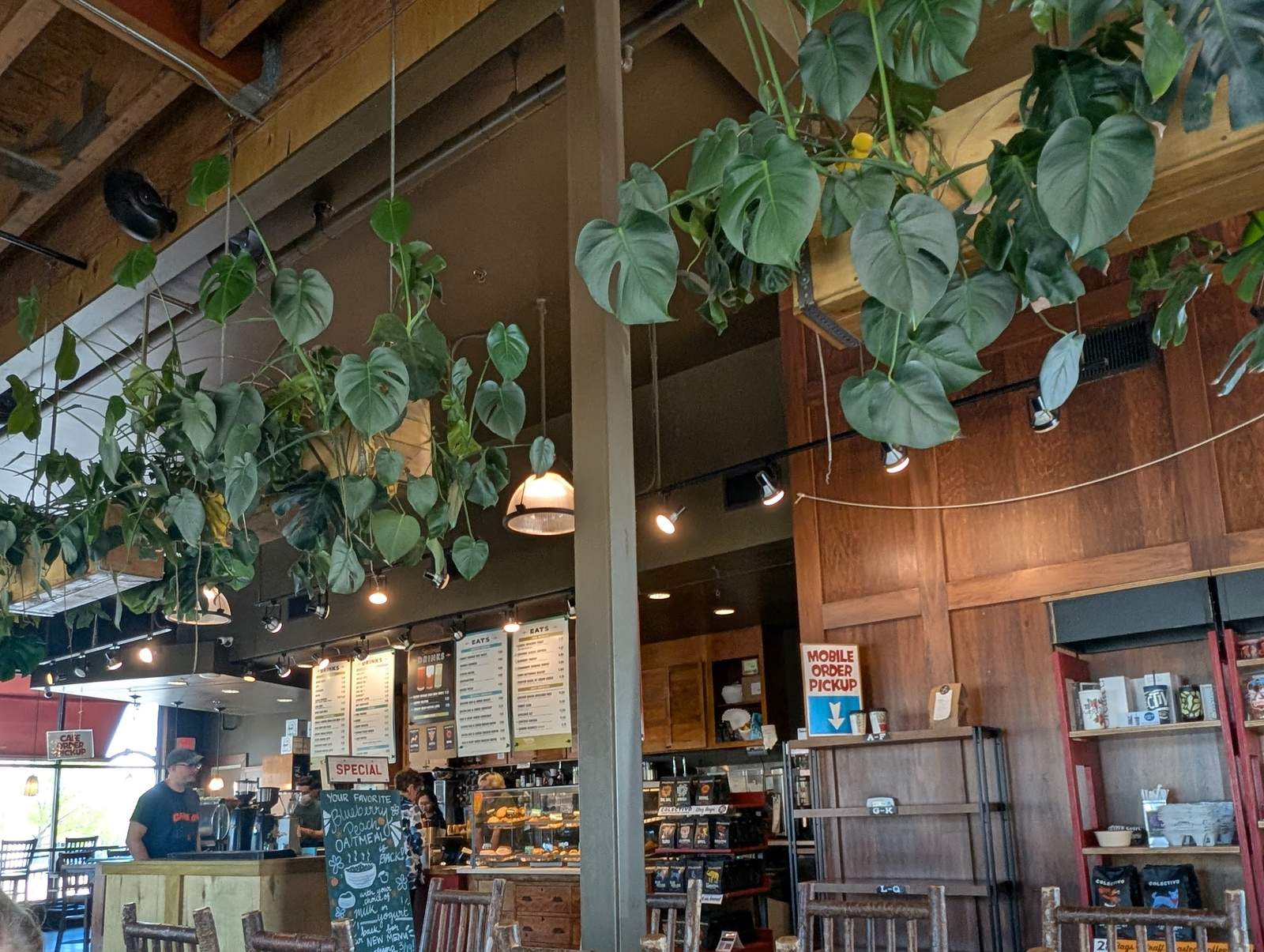 Colectivo Coffee Grafton — photo 3