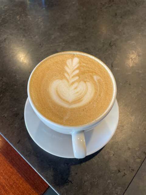 Colectivo Coffee Grafton — photo 5