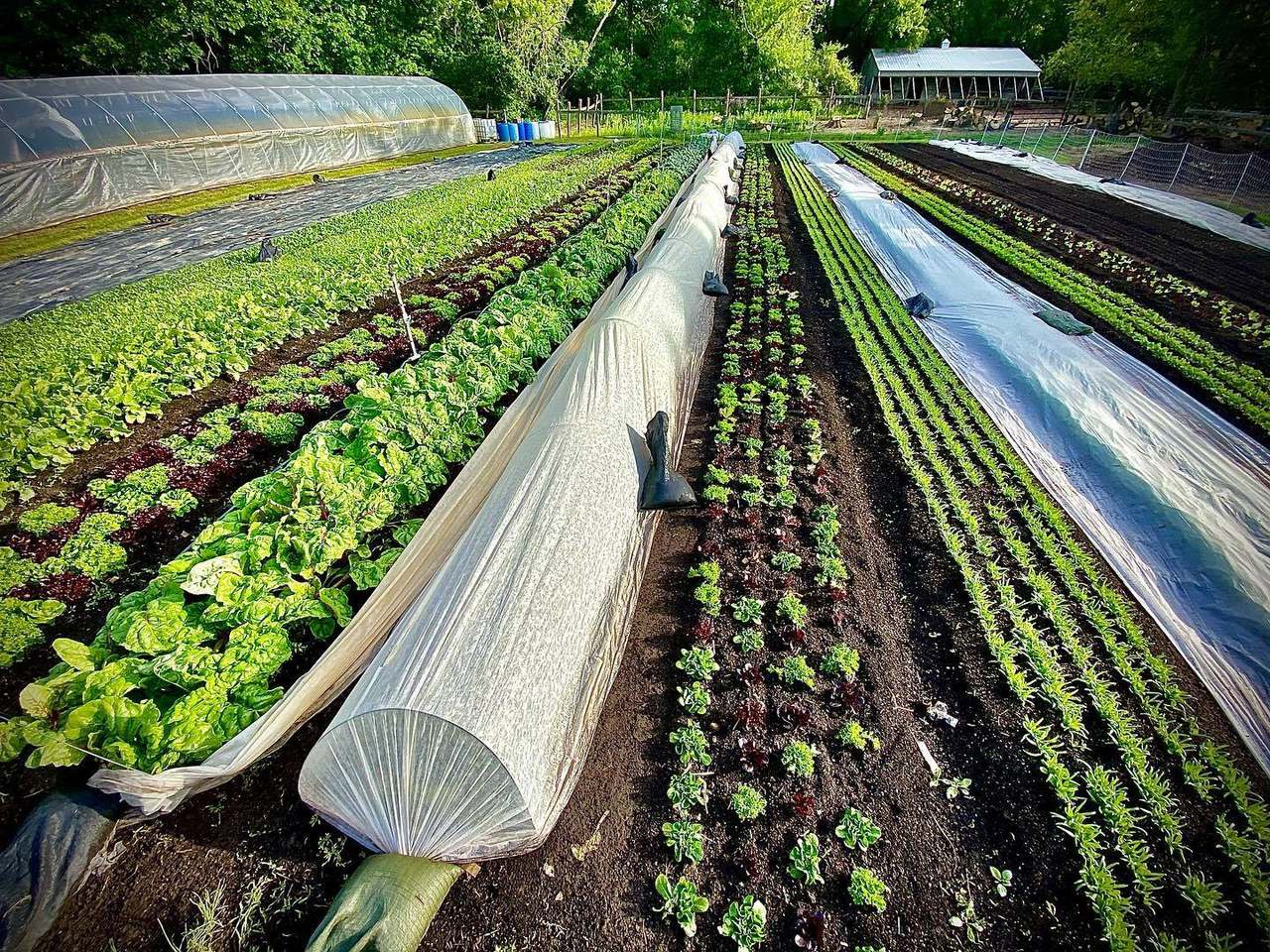 Farm Happy, LLC — photo 2