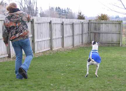 Krystal Creek Kennels — photo 4