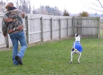 Krystal Creek Kennels — photo 4