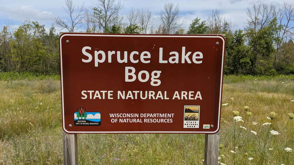 Spruce Lake Bog