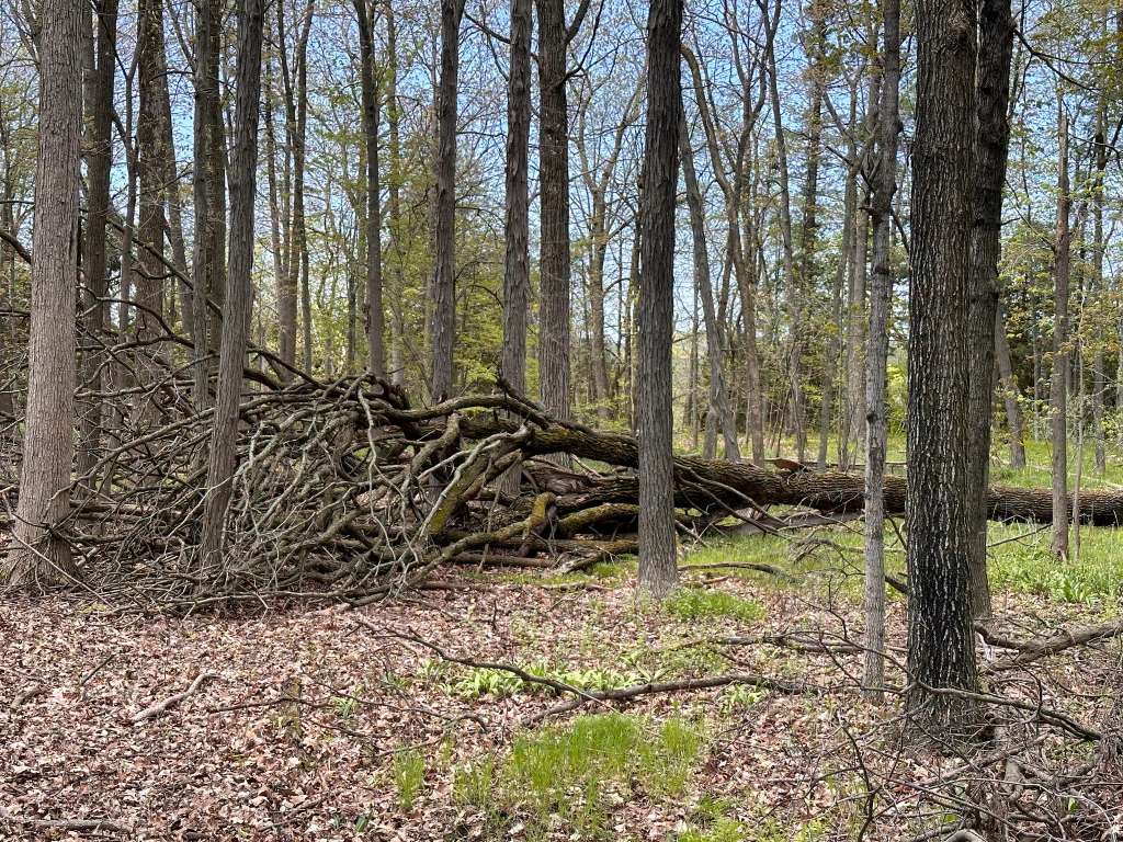 River Wildlife Trailhead Parking- membership reqired