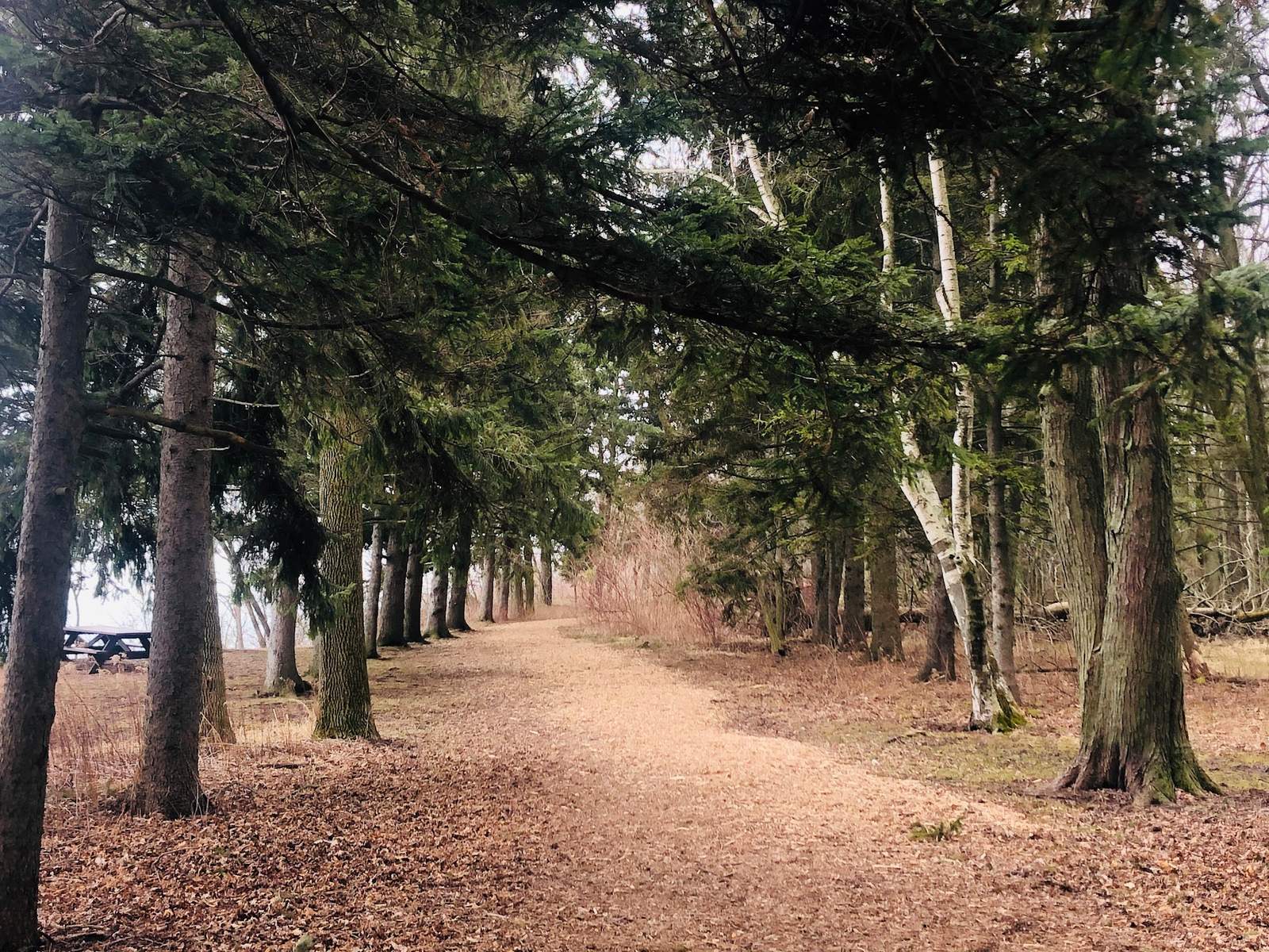 Virmond County Park — photo 10