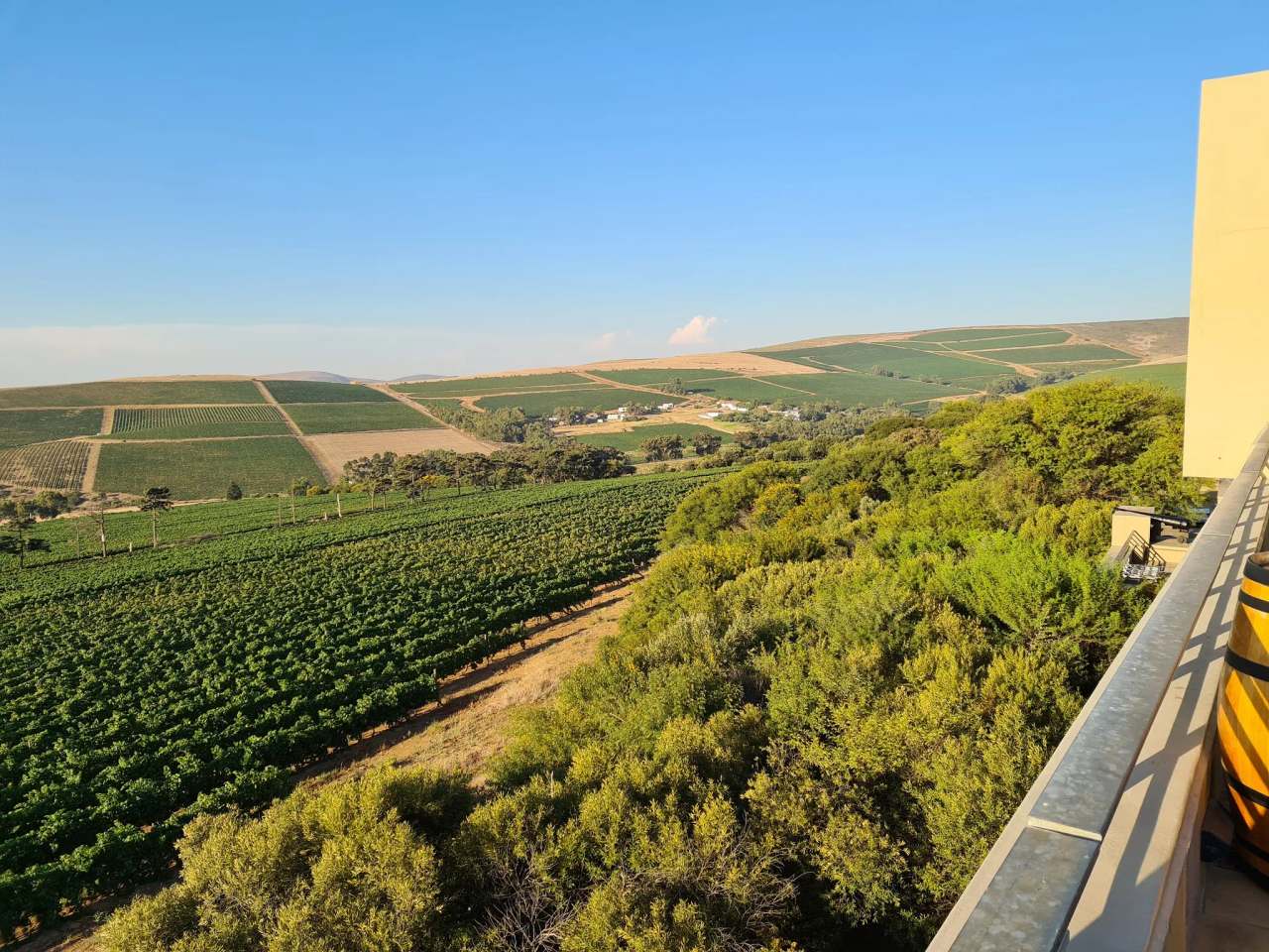 Durbanville Hills Winery — photo 2