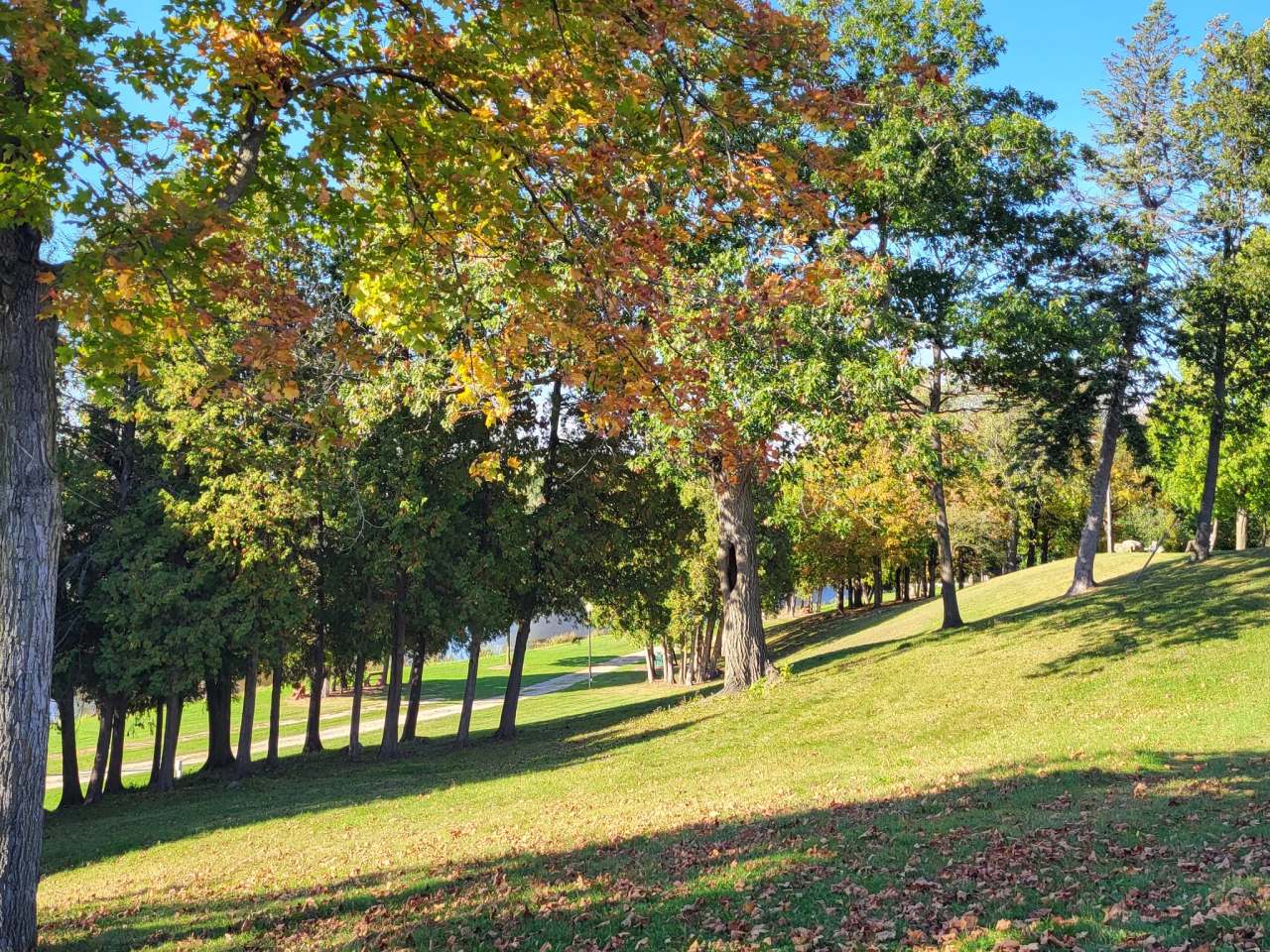 River Hill Park — photo 3