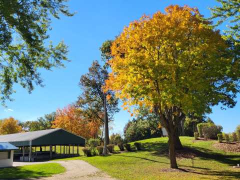 River Hill Park — photo 4