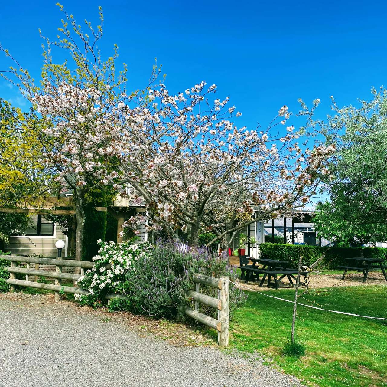 Pinot Villas — photo 1