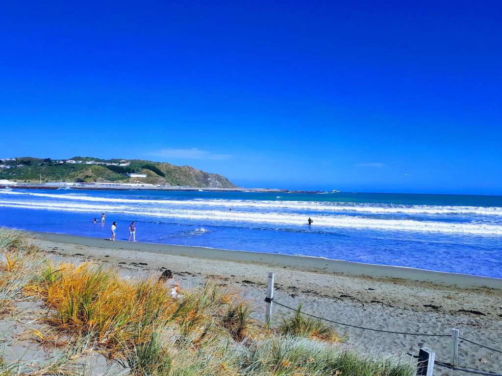 Lyall Bay Surf Beach