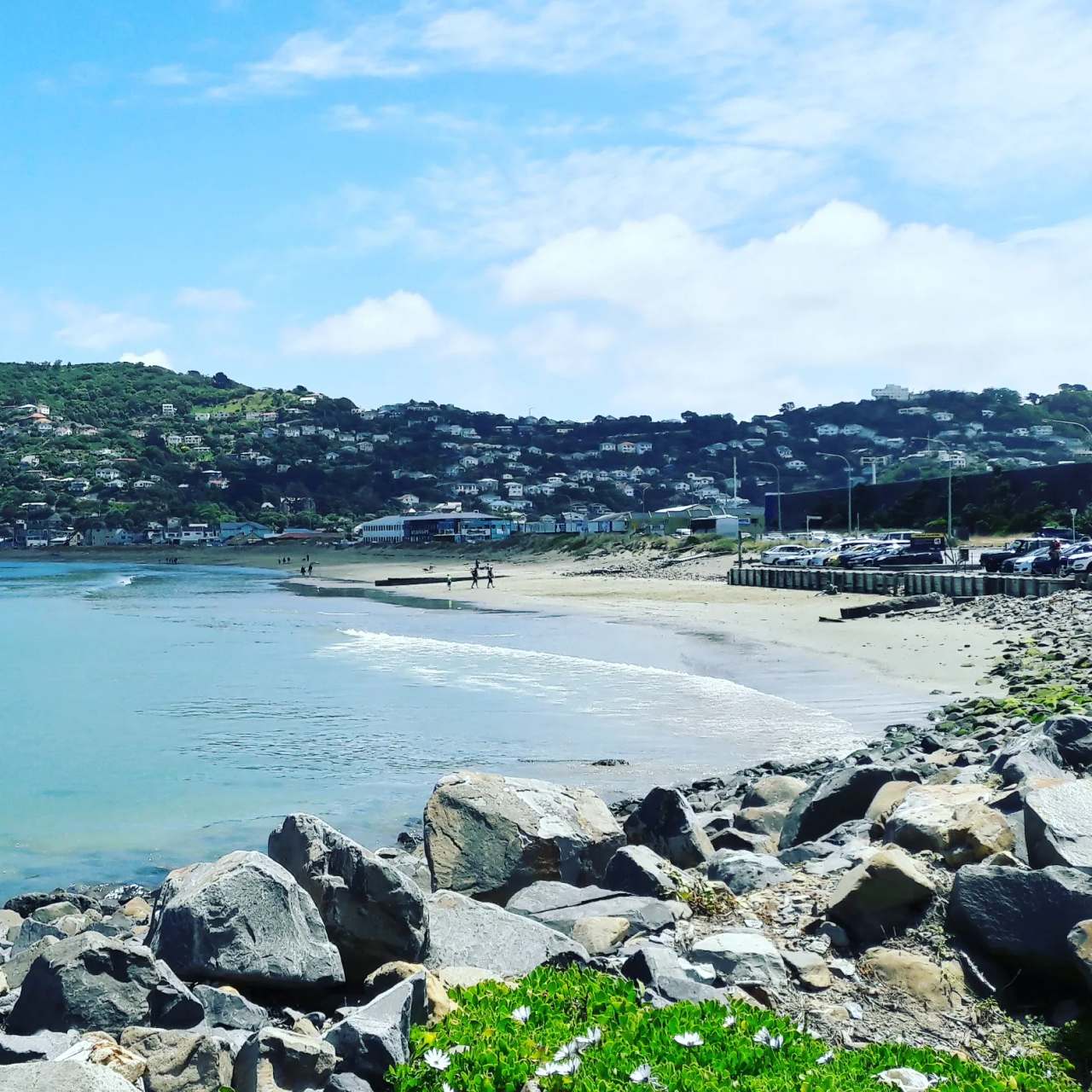 Lyall Bay Surf Beach — photo 2