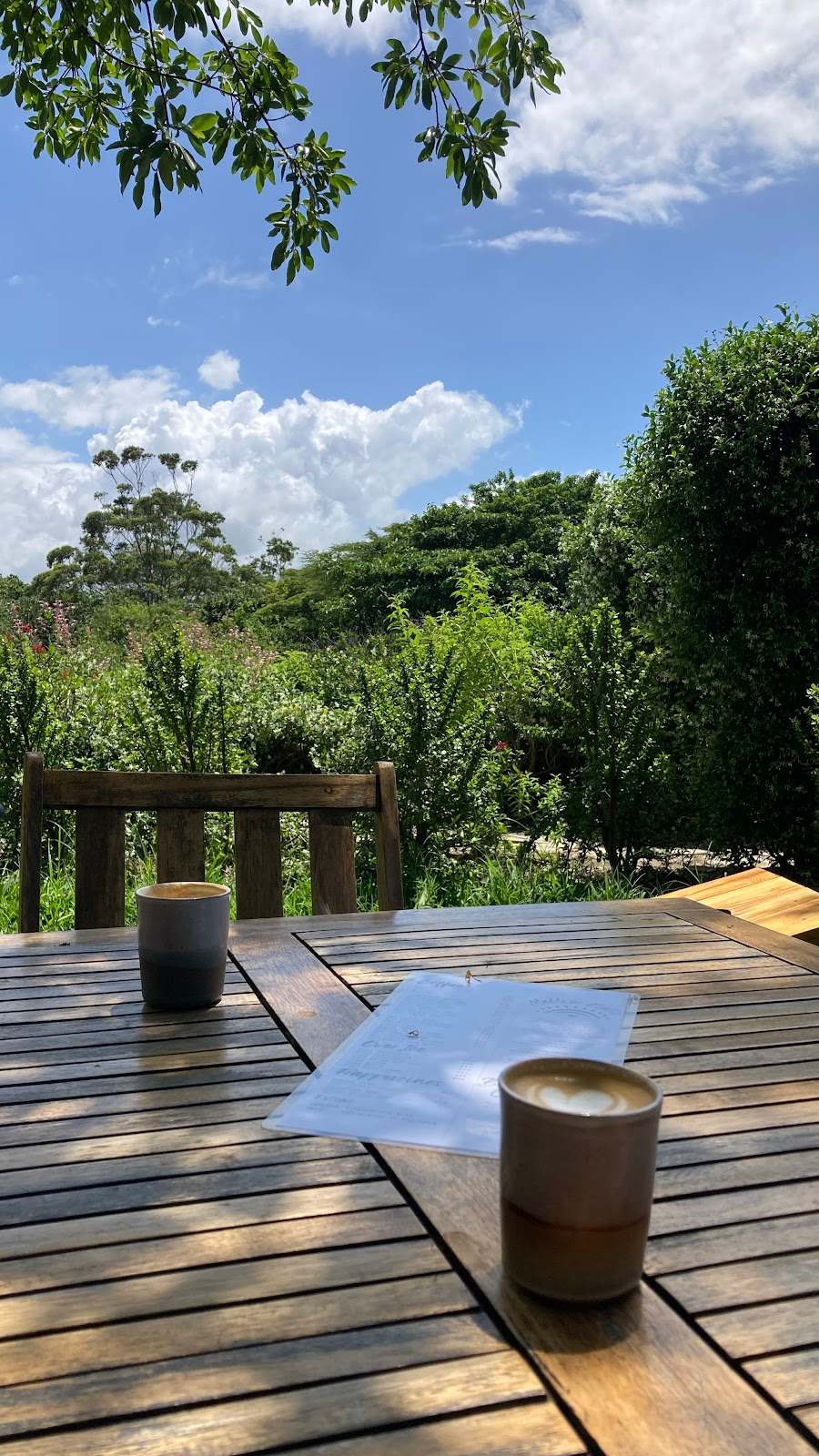 Mellow Nello Coffee - Salt Rock — photo 4