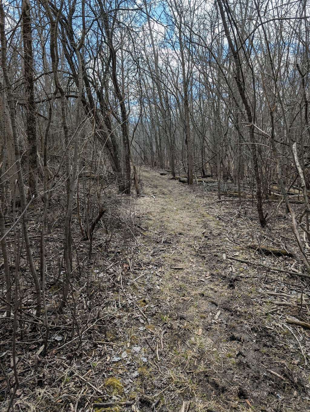 River Forest Nature Preserve