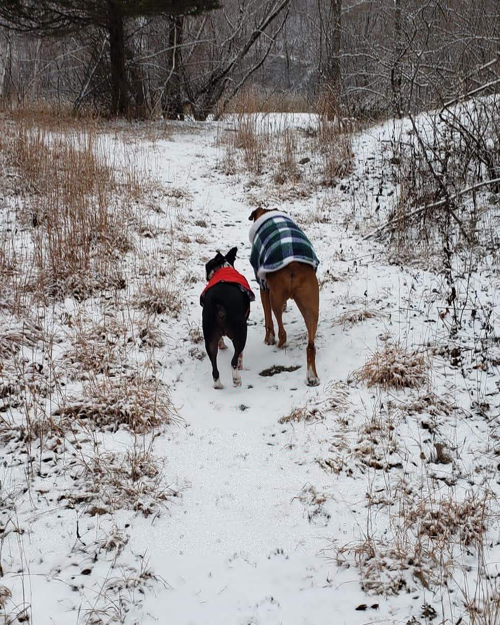 Ice Age Trail West Bend Trailhead — photo 4