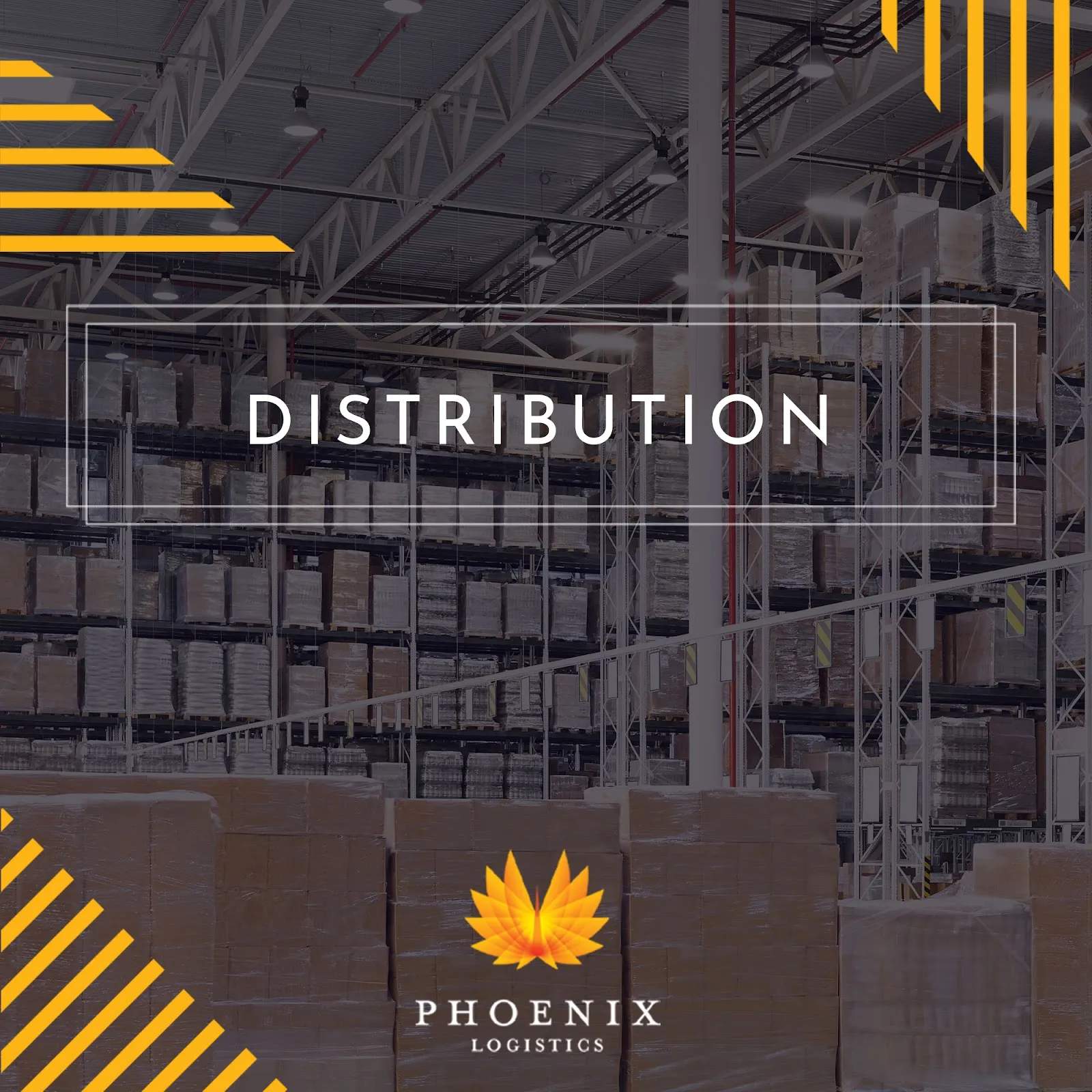 Phoenix Logistics — photo 5