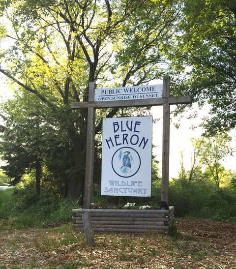 Blue Heron Wild Life Sanctuary — photo 2