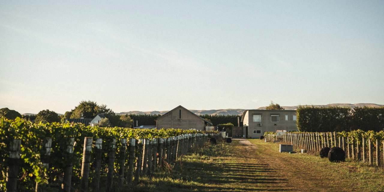Martinborough Vineyard — photo 1