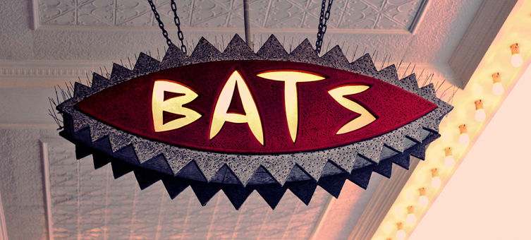 BATS Theatre — photo 1