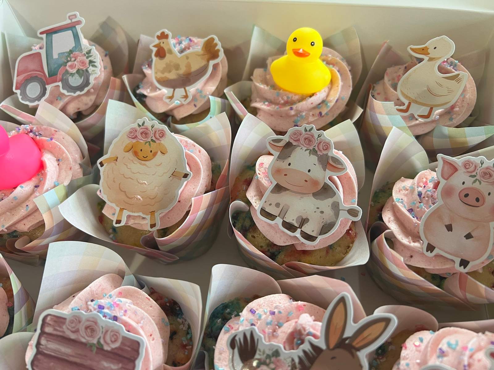 North Shore Cupcake Co. — photo 5