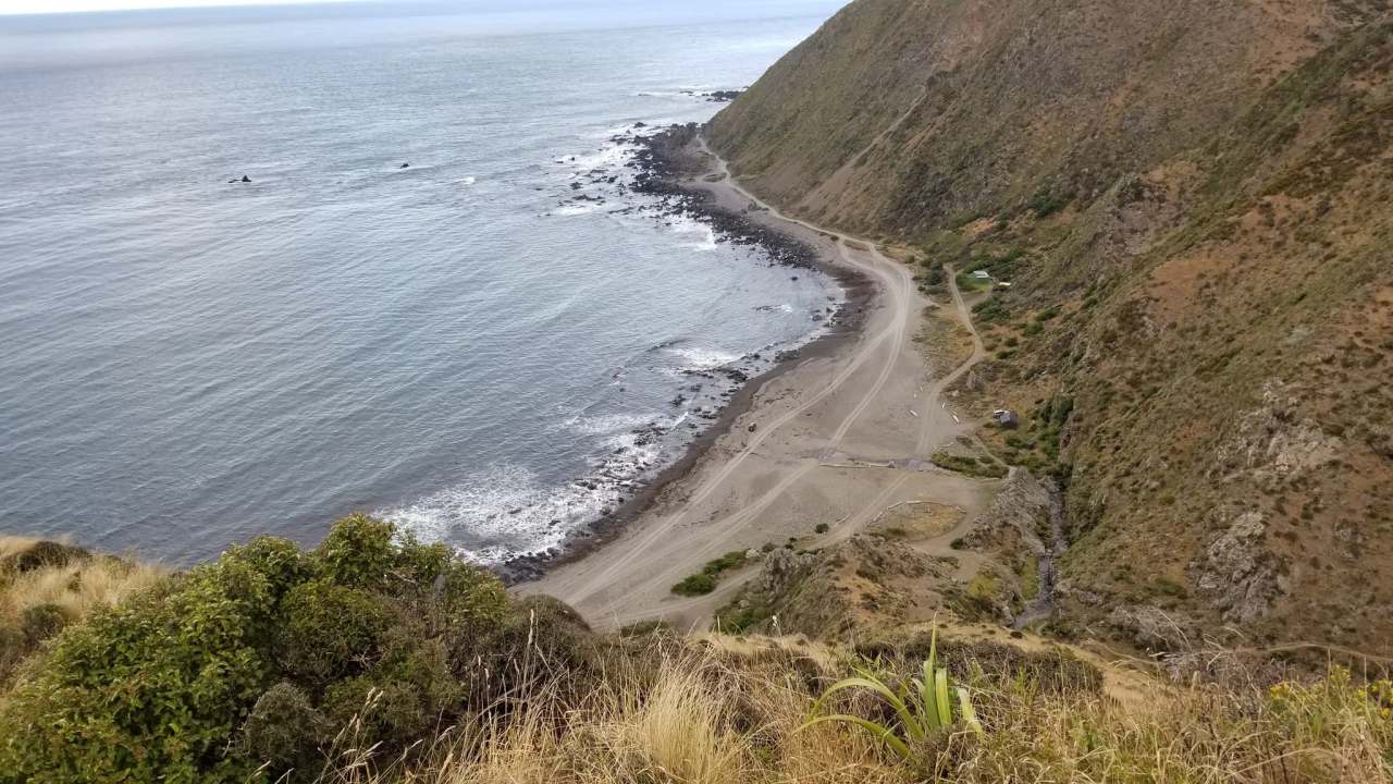 Te Kopahou Reserve — photo 2
