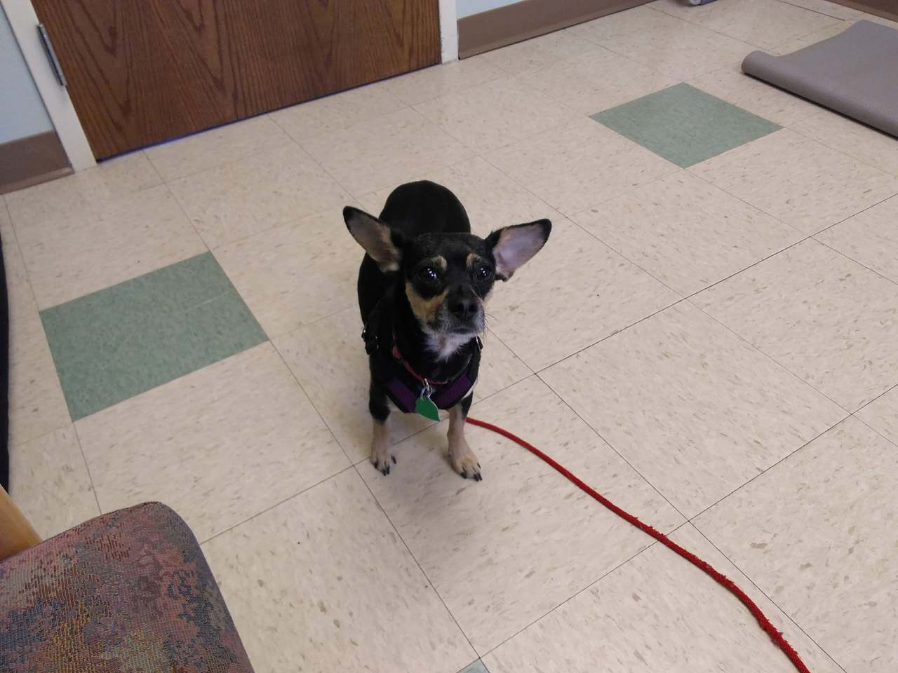 Fredonia Veterinary Clinic — photo 2