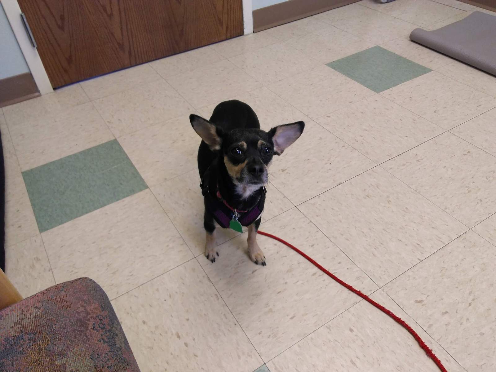 Fredonia Veterinary Clinic — photo 2