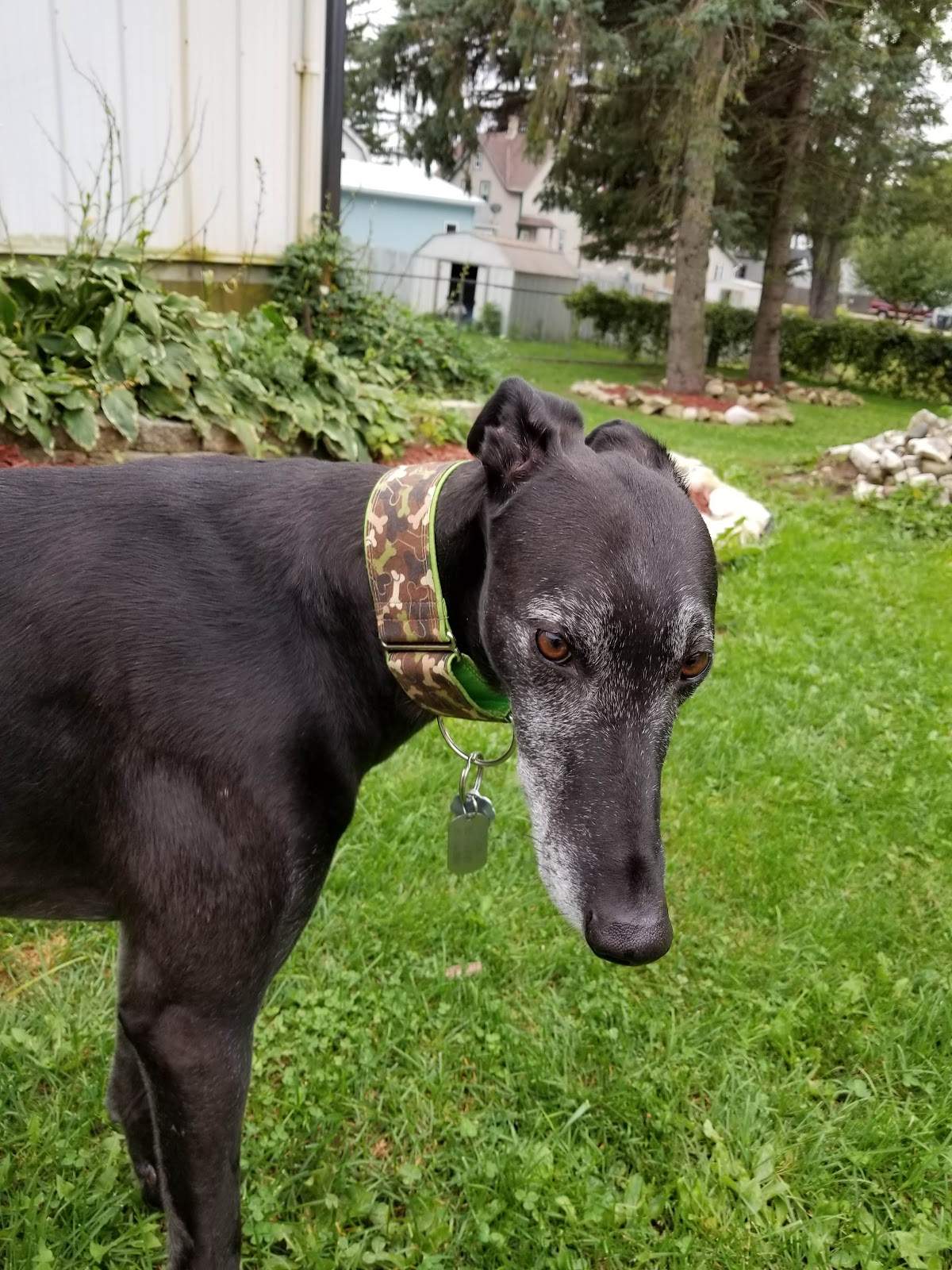 Fredonia Veterinary Clinic — photo 5
