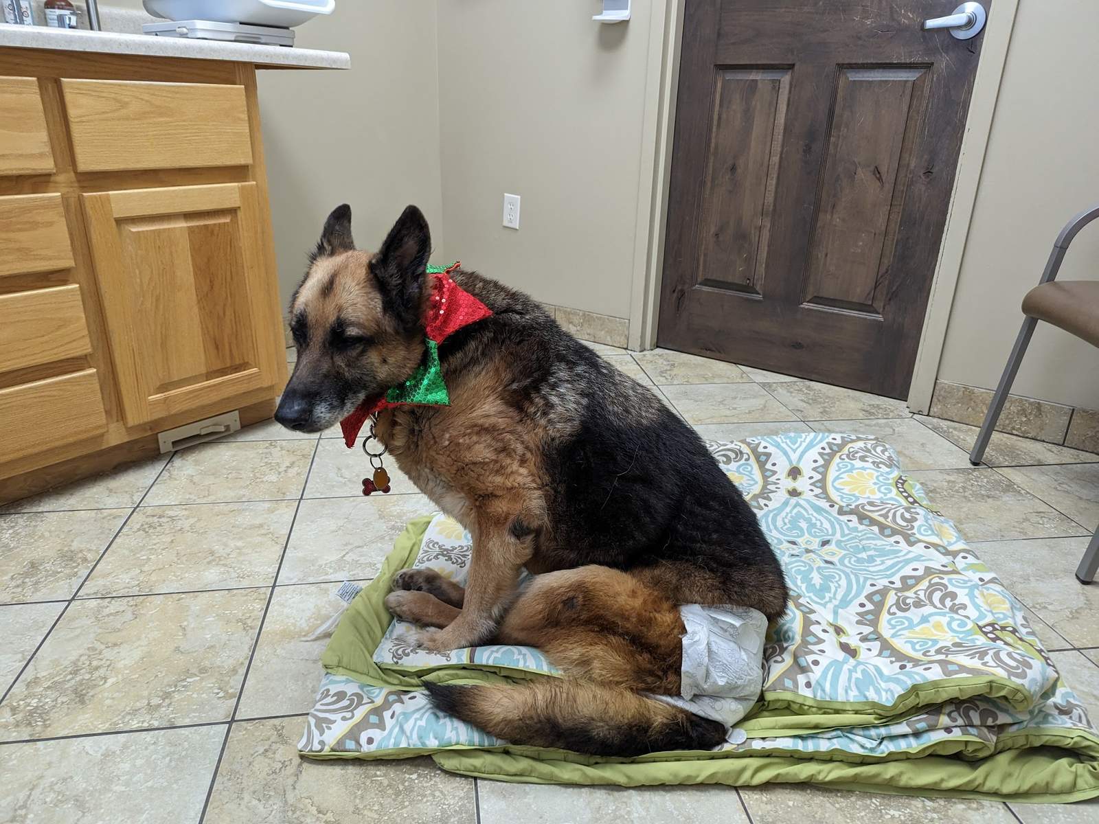 VCA Saukville Animal Hospital — photo 5