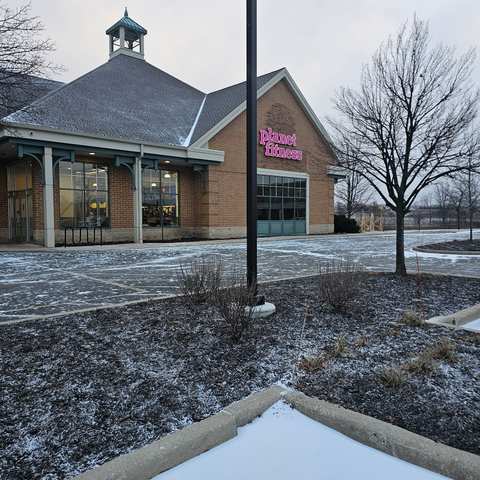 Planet Fitness — photo 5