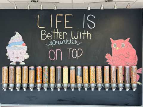 Fill-n-Chill Frozen Yogurt Bar — photo 3