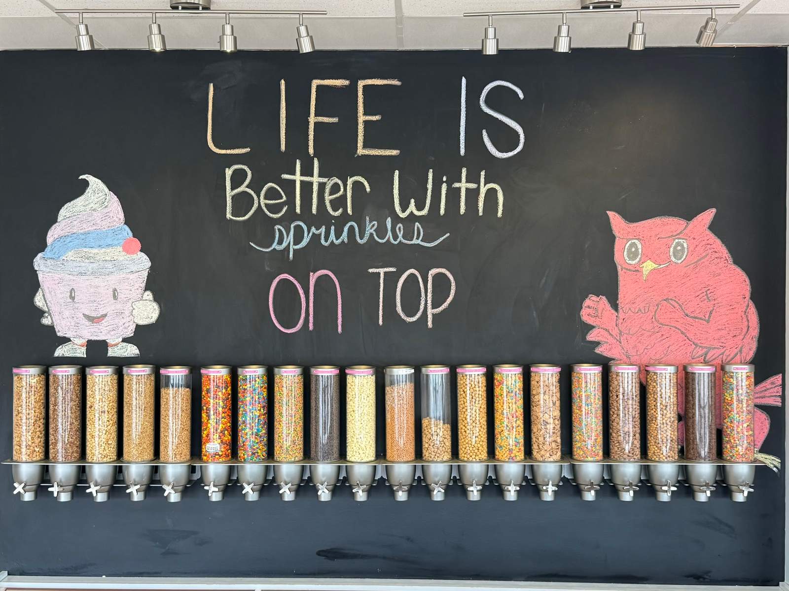 Fill-n-Chill Frozen Yogurt Bar — photo 3