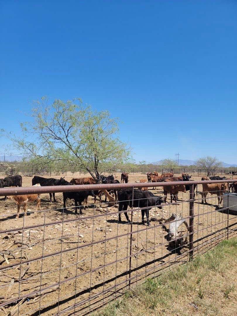 Rare Earth Farm — photo 1