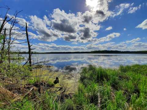 Kettle Moraine State Forest — photo 3