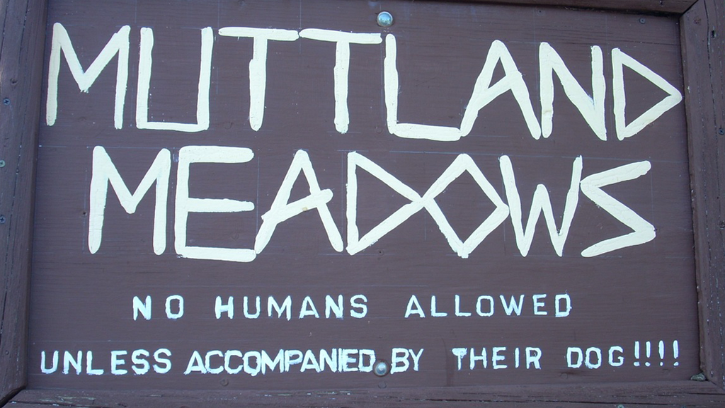 Muttland Meadows