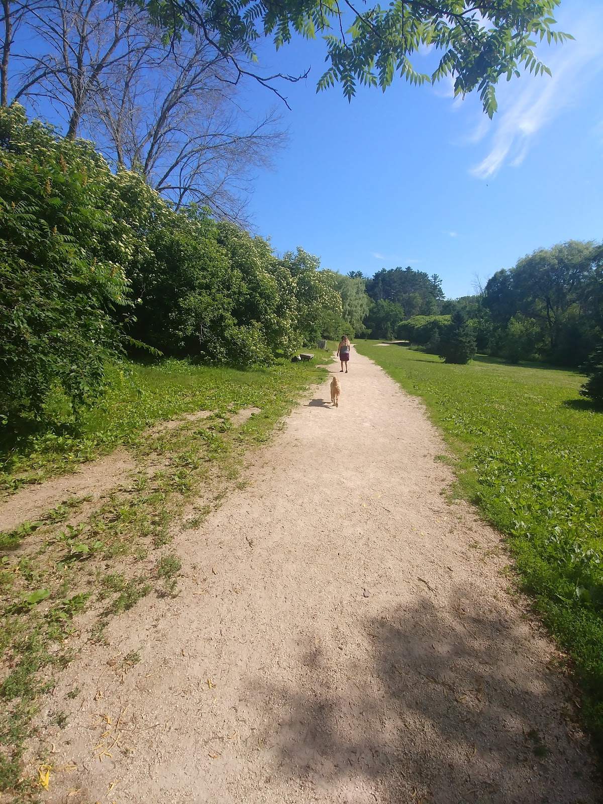 Muttland Meadows — photo 2