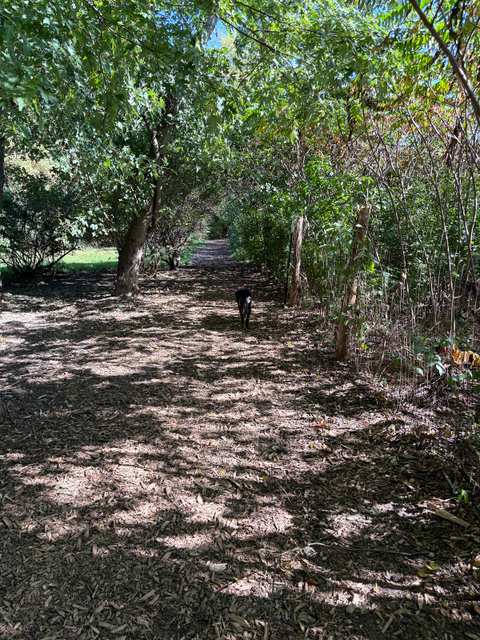 Muttland Meadows — photo 5