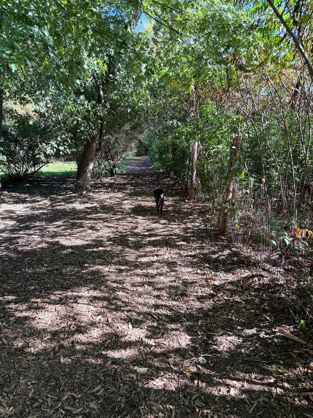Muttland Meadows — photo 5